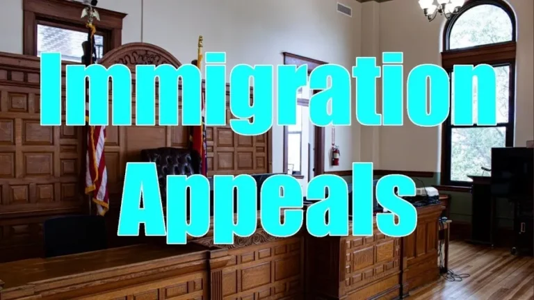 immigration appeals overview