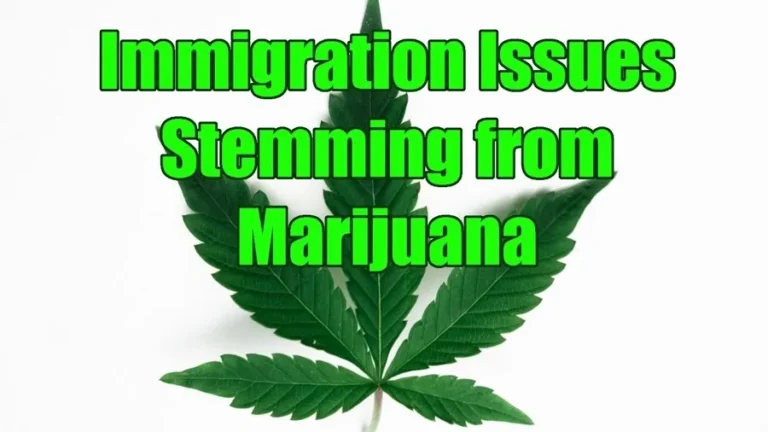 immigration issues stemming from marijuana