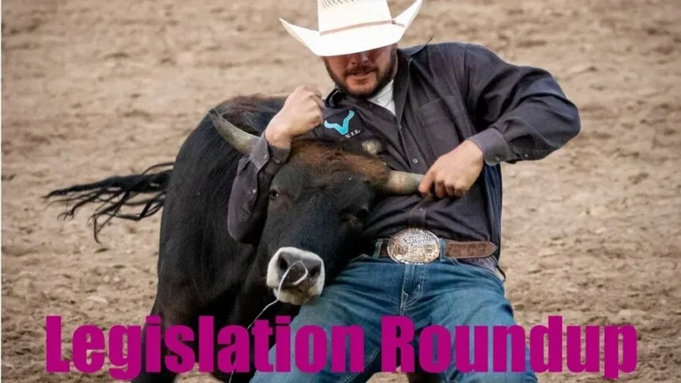 immigration legislation roundup uscis processing data