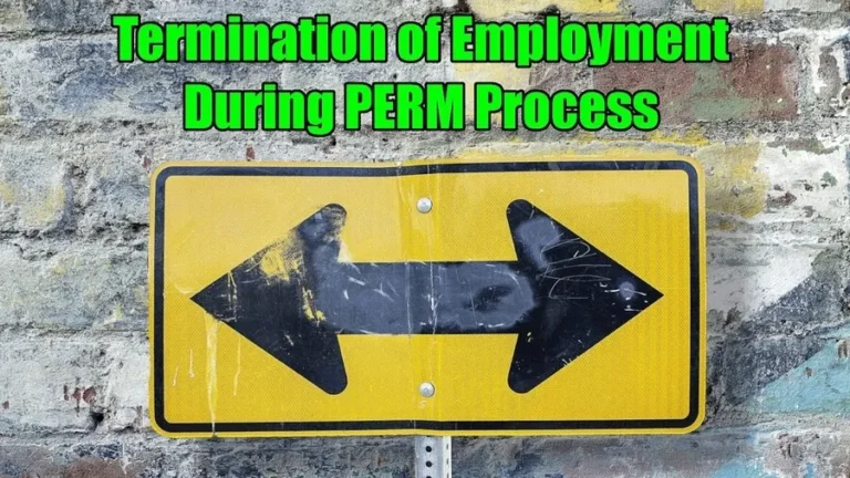 termination of employment during perm process