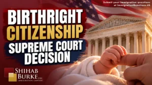 birthright citizenship no badge 1200